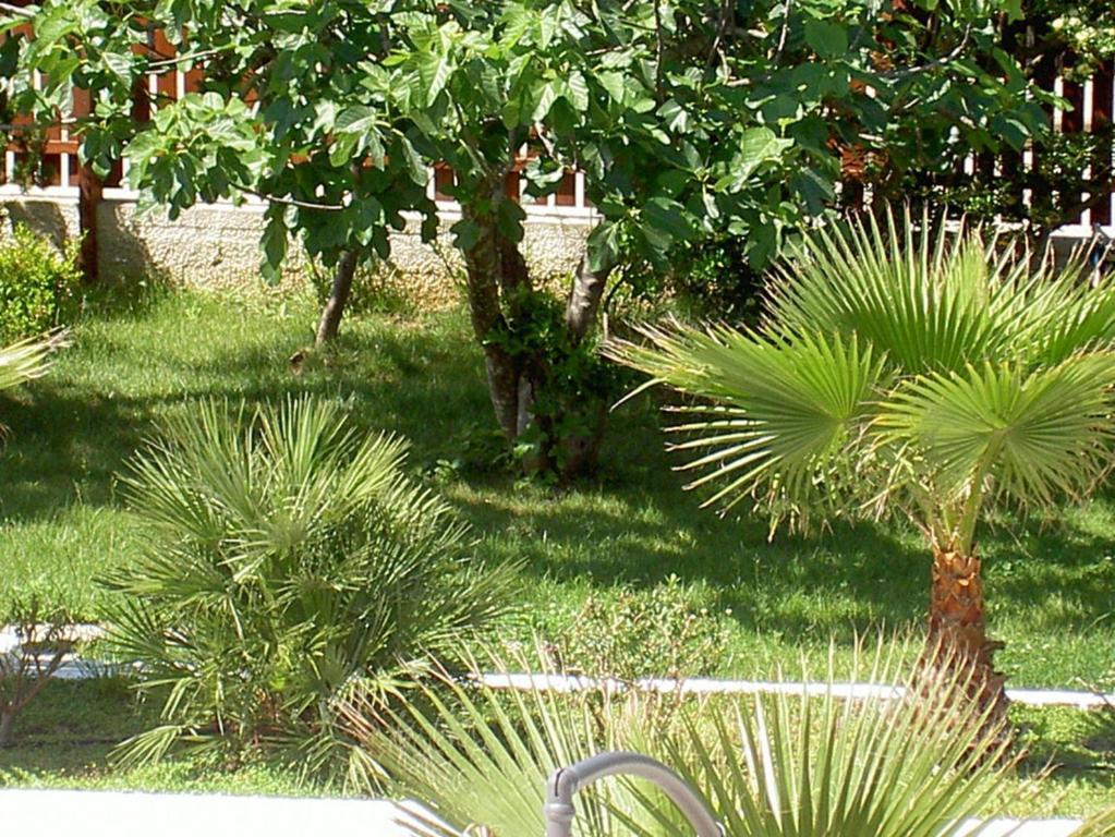 Baia Del Sole Hotel Paestum Eksteriør billede